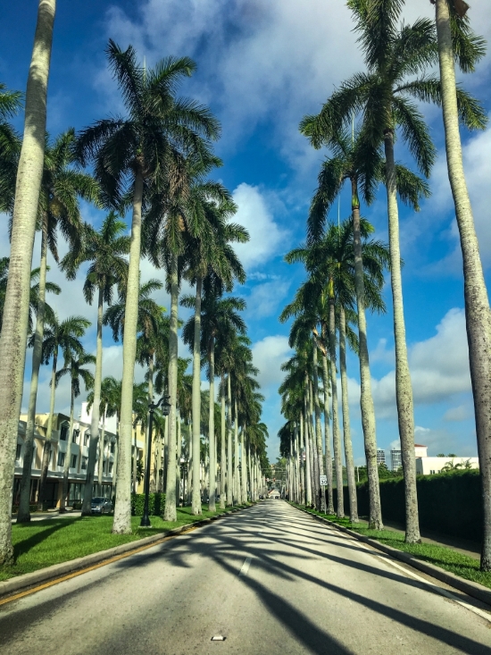 Kiton - PALM BEACH - The Royal Poinciana Plaza